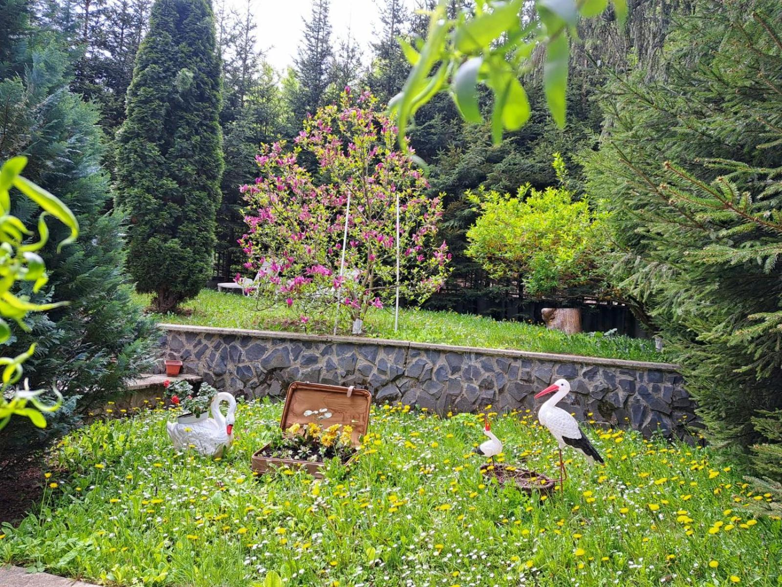 Pensiunea Colina Пояна-Брашов Экстерьер фото